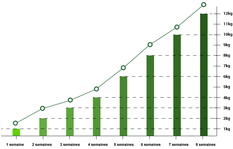 Graphique : Résultats de perte de poids prouvés avec Green Barley Plus