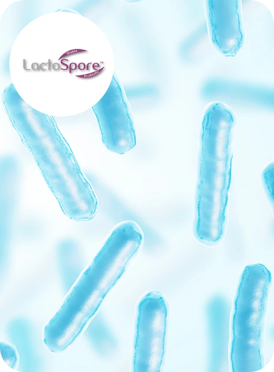 Illustration des bactéries probiotiques LactoSpore